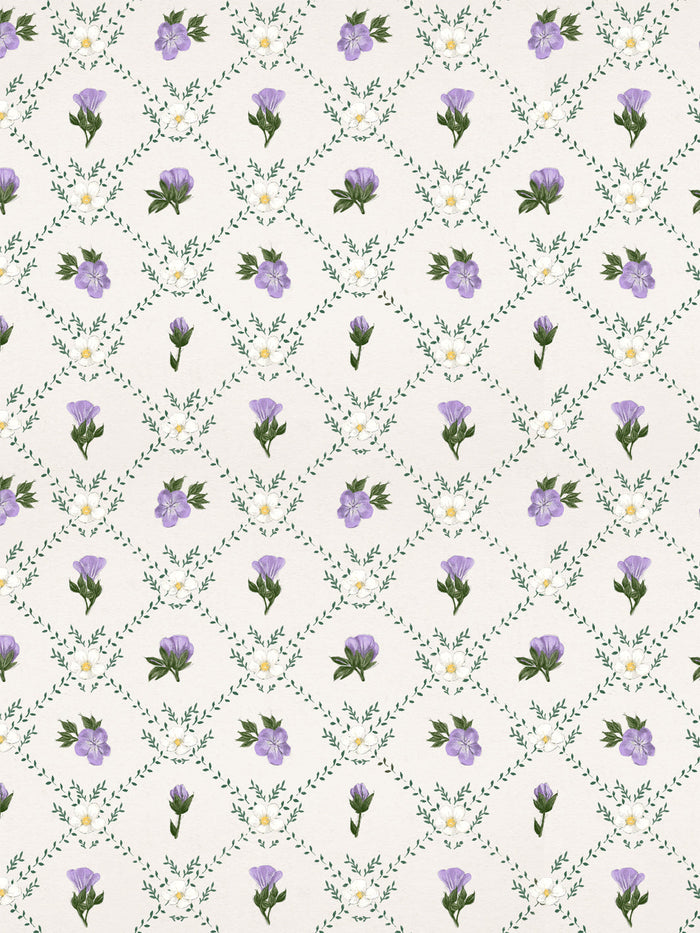'Anki' Wallpaper by Sarah Jessica Parker - Multi