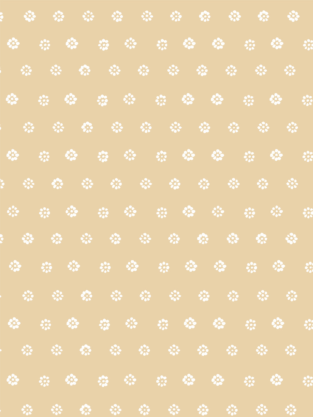 aster-wallpaper-by-sugar-paper-hay
