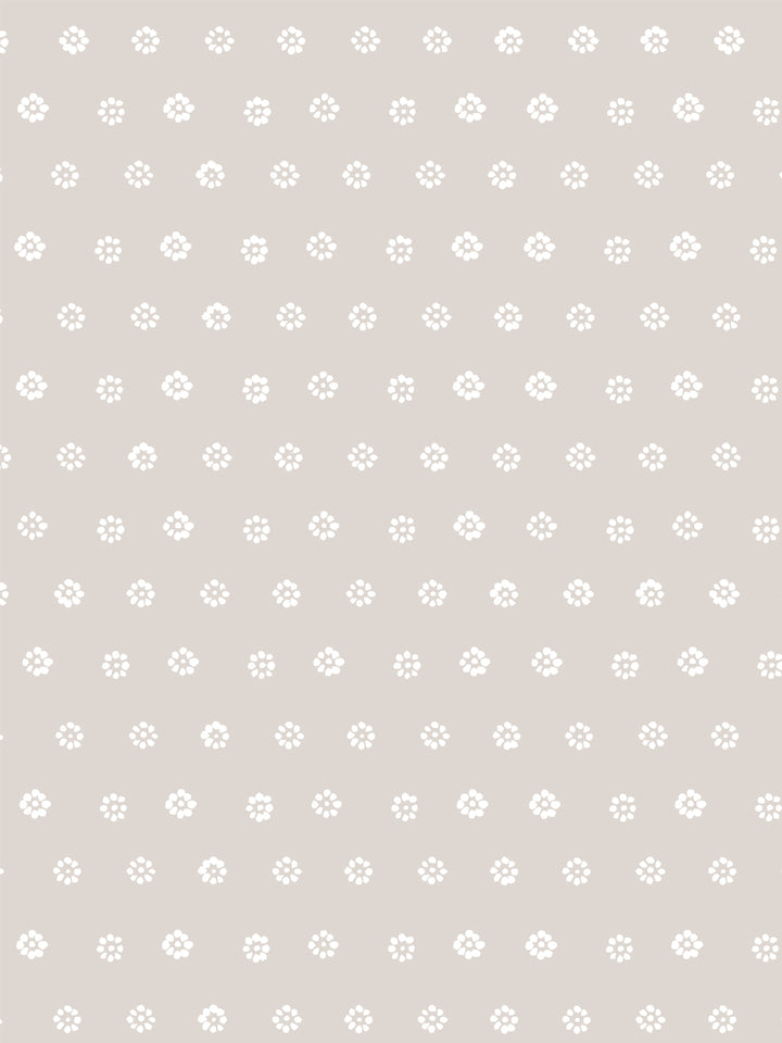 aster-wallpaper-by-sugar-paper-khaki