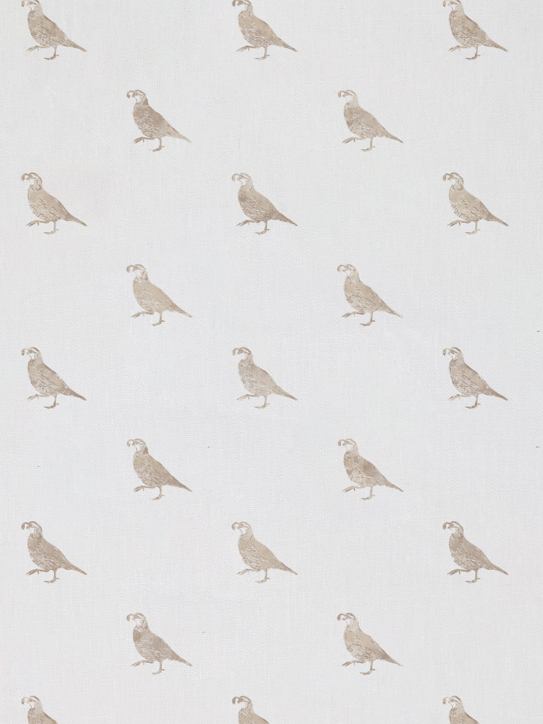 california quail linen fabric by nathan turner neutral