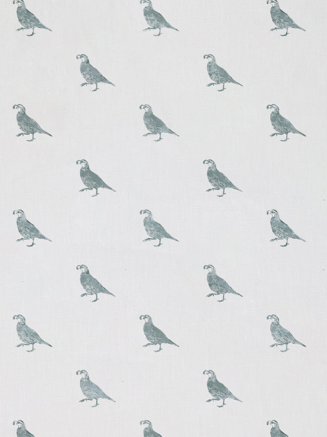 california quail linen fabric by nathan turner sage