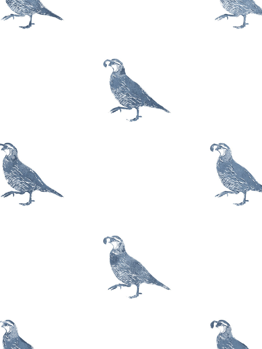 california-quail-wallpaper-by-nathan-turner-darker-blue