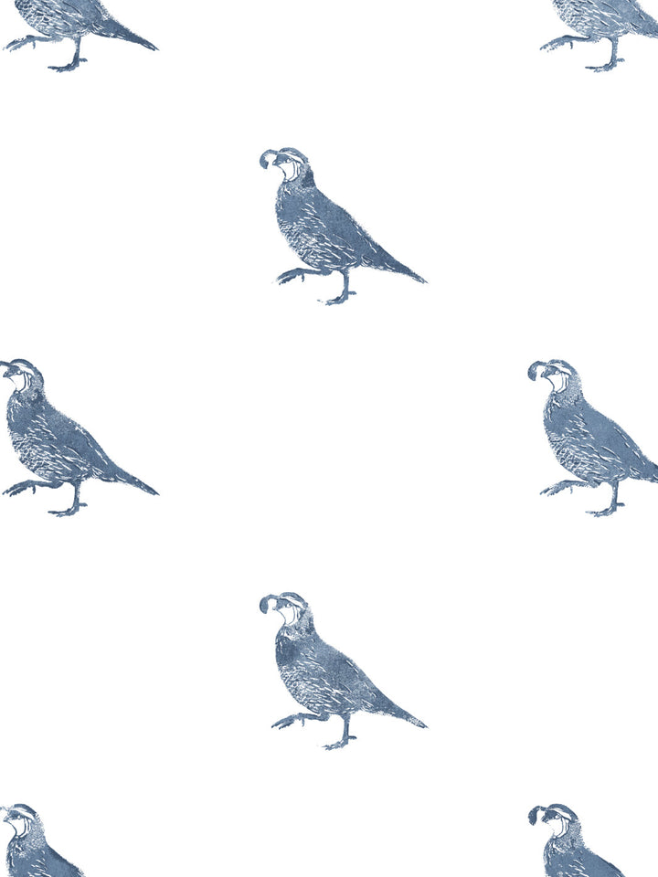 california-quail-wallpaper-by-nathan-turner-darker-blue
