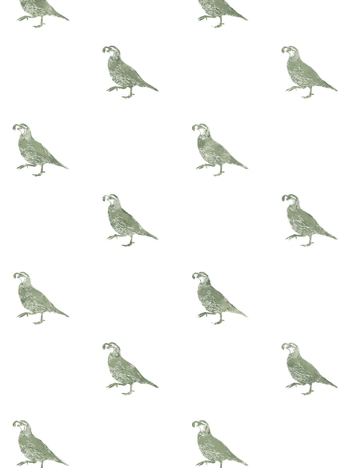 california-quail-wallpaper-by-nathan-turner-green