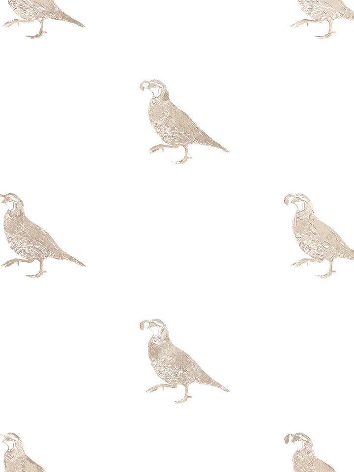 california-quail-wallpaper-by-nathan-turner-neutral