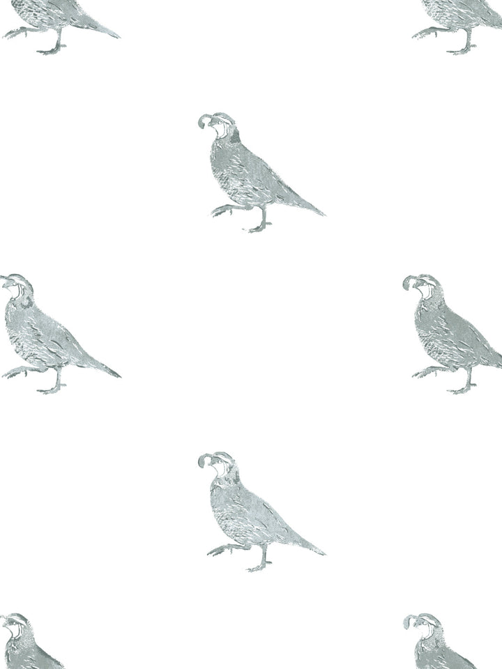 california-quail-wallpaper-by-nathan-turner-sage