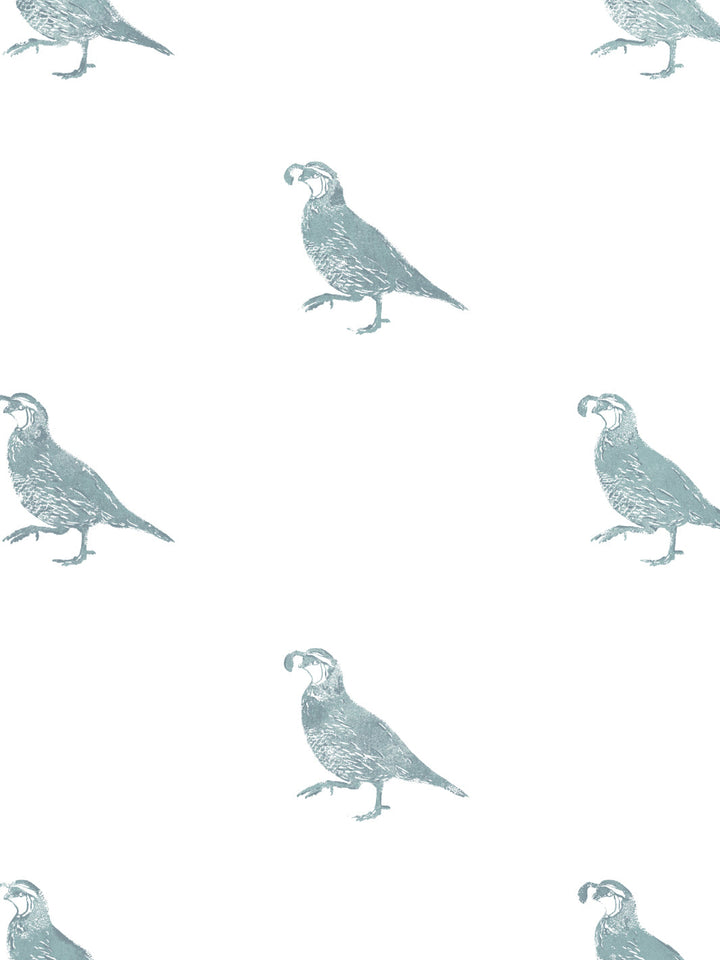 california-quail-wallpaper-by-nathan-turner-seafoam