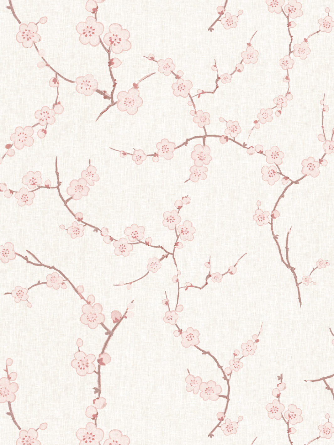 Cherry Blossom' Wallpaper by Nathan Turner - Pink