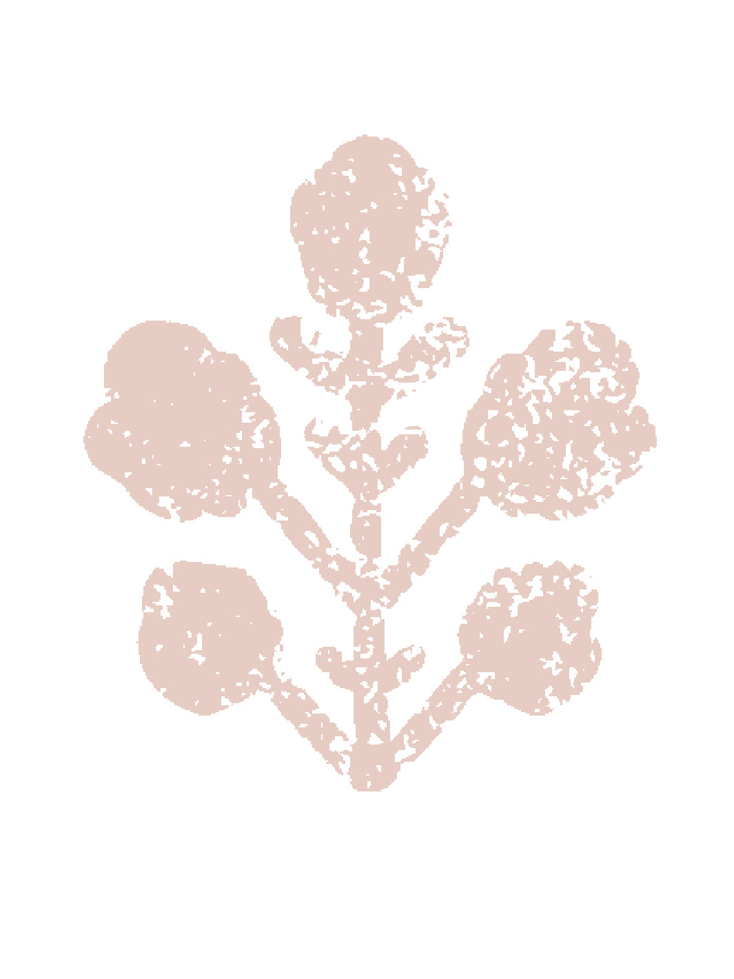 ensley-large-white-ground-wallpaper-by-sugar-paper-rose