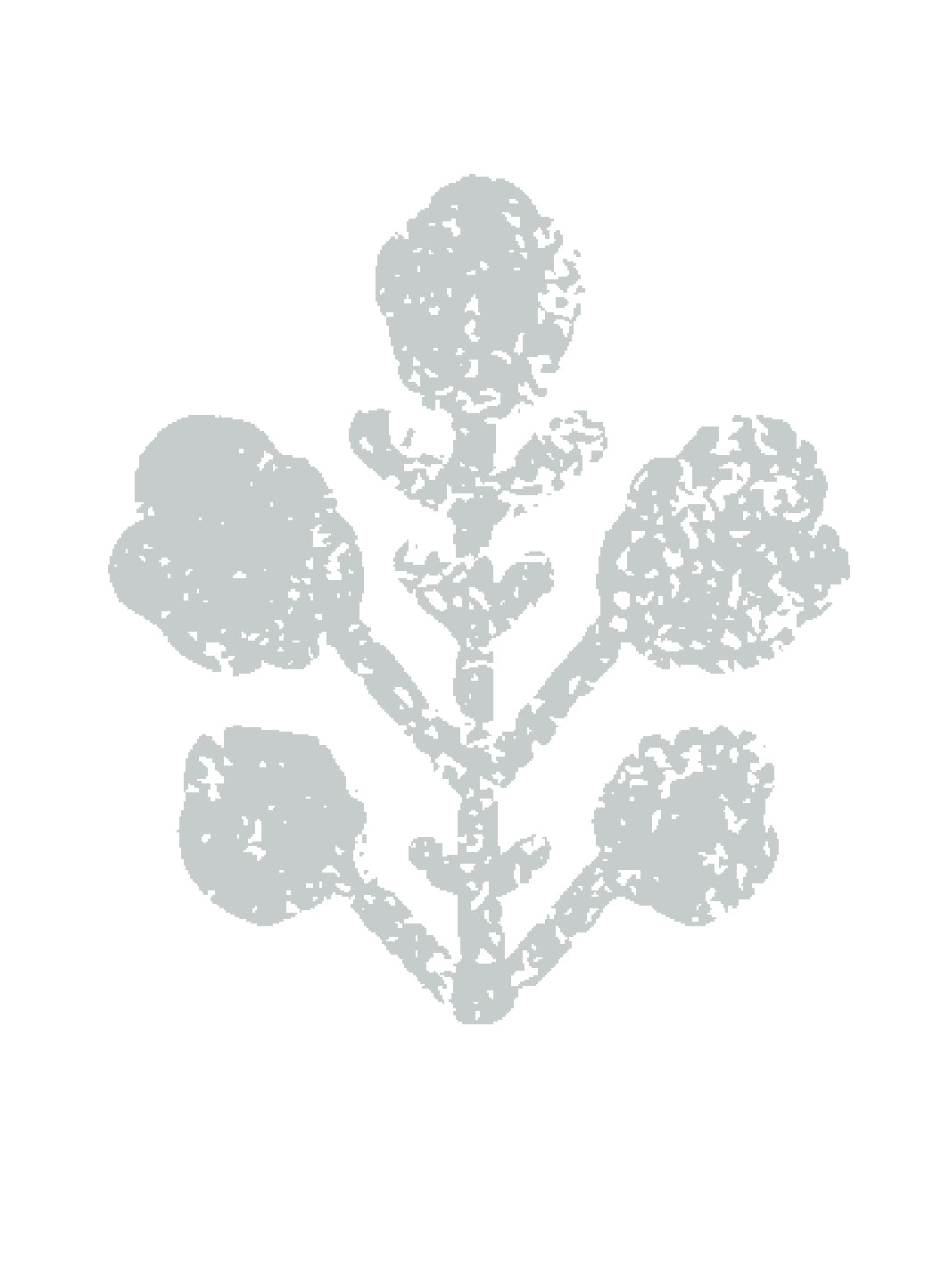 ensley-large-white-ground-wallpaper-by-sugar-paper-silver-sage