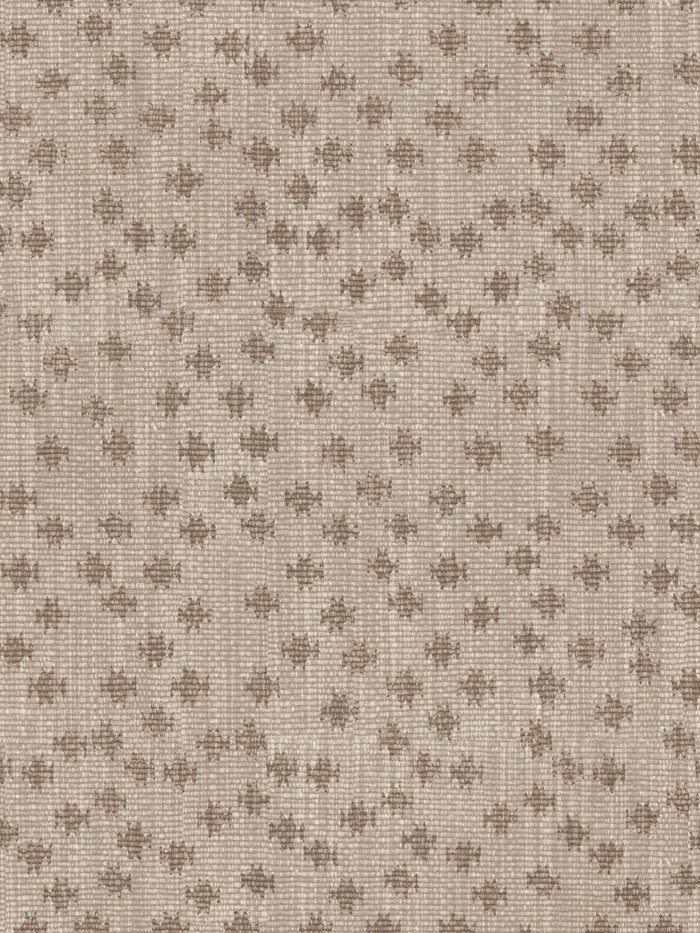 'Northstar Star' Wallpaper by Nathan Turner - Taupe