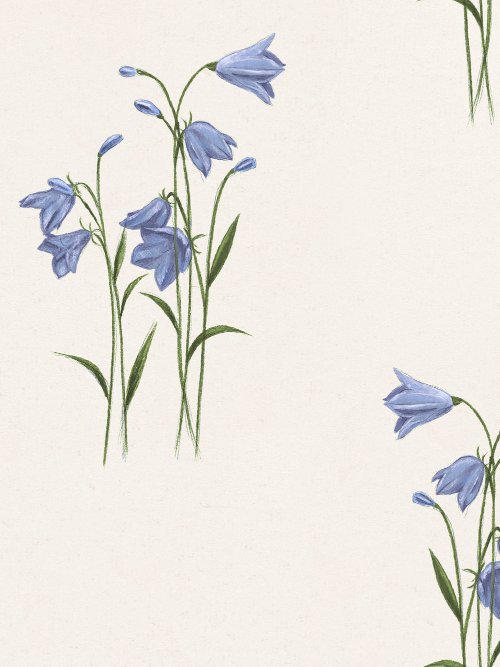 ulrica-wallpaper-by-sarah-jessica-parker-multi
