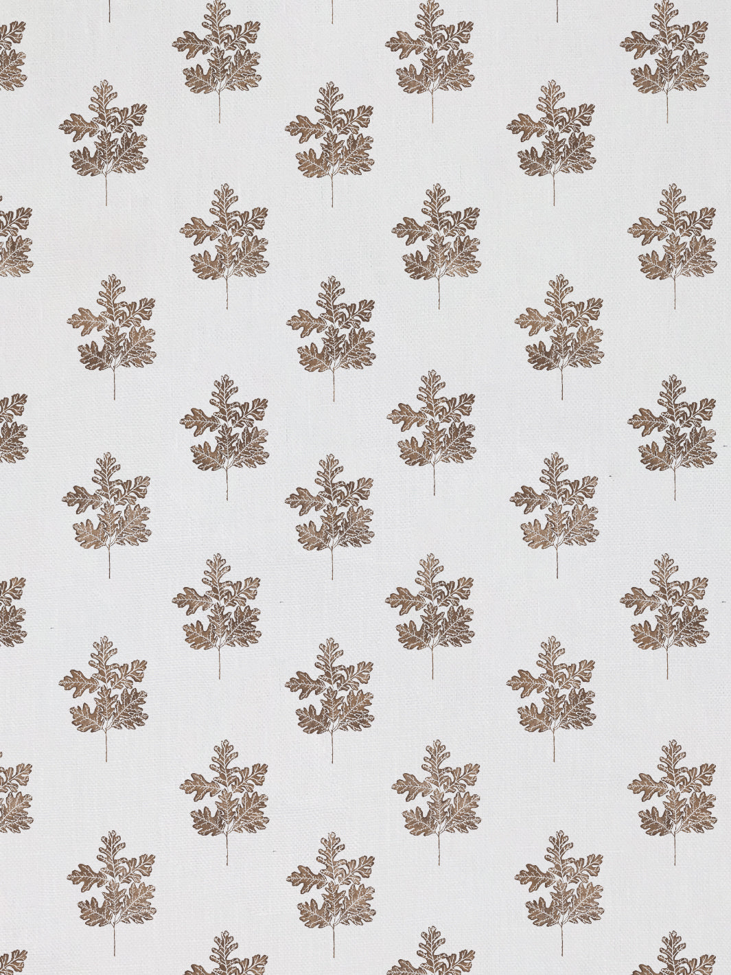 valley oak leaf linen fabric by nathan turner brown