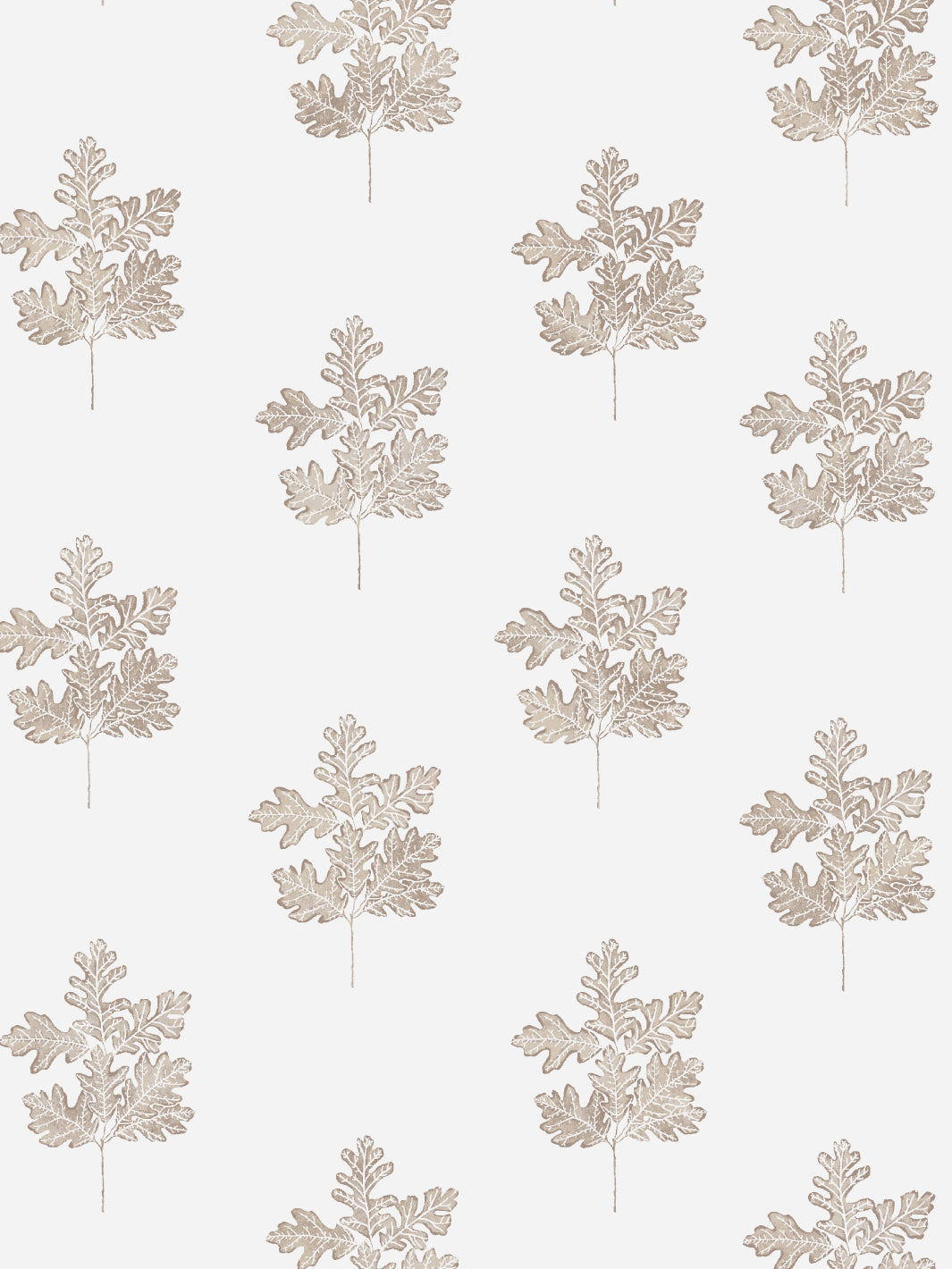 'Valley Oak Leaf' Wallpaper by Nathan Turner - Neutral – Wallshoppe