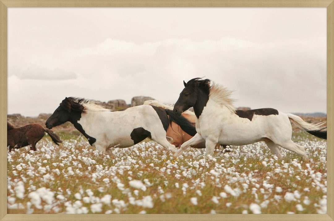 'Wildflower Stallions' Framed Art by Nathan Turner