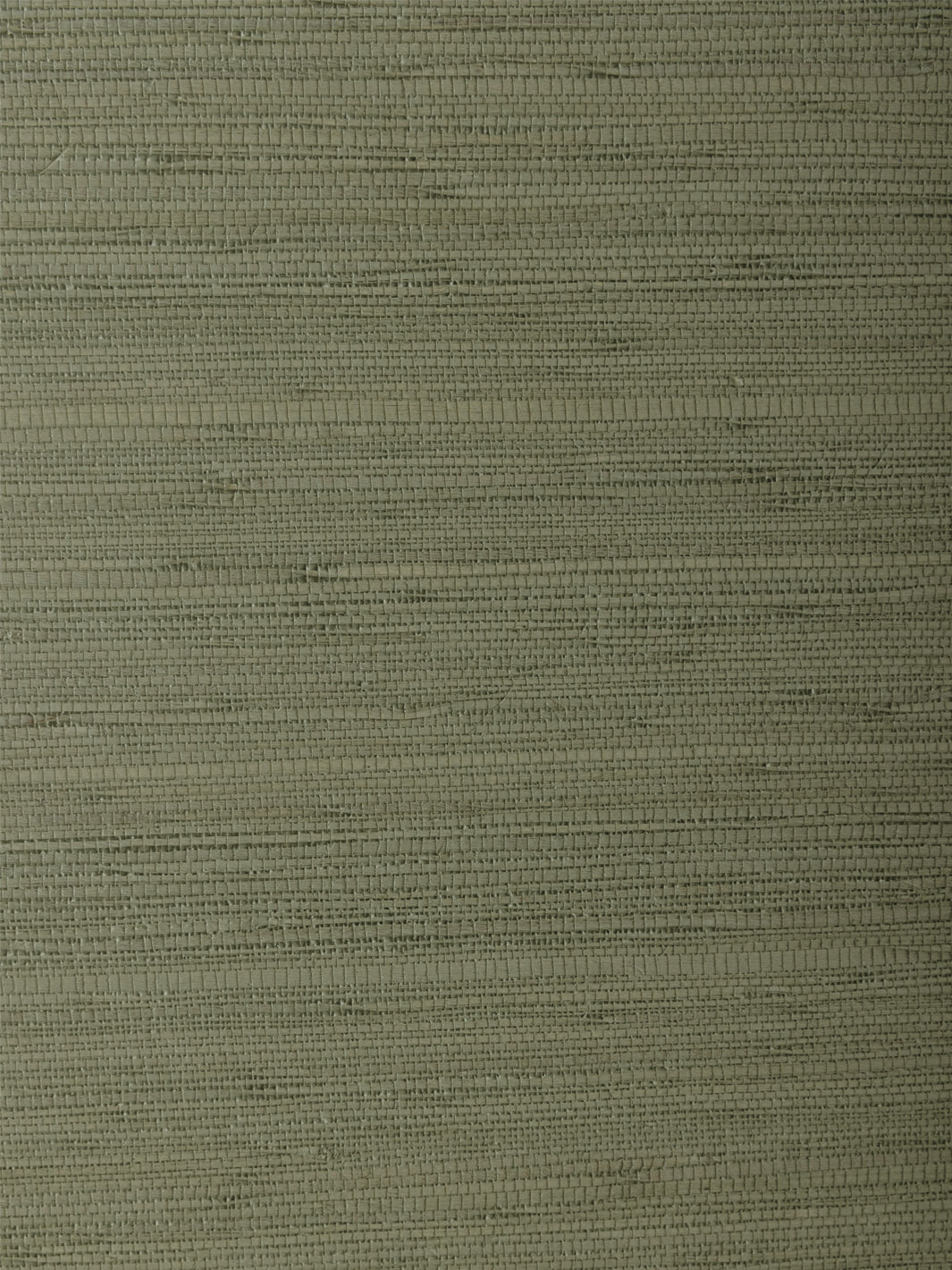 woven solid grasscloth wallpaper in ceylon