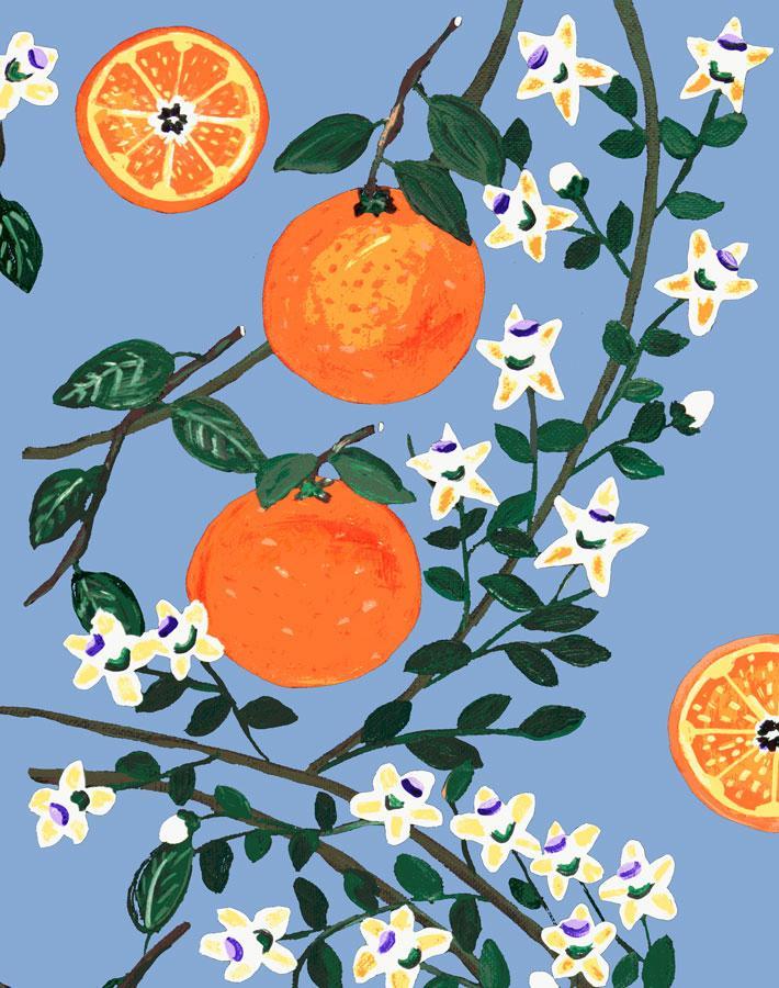 arance-dolci-blue-wallpaper-by-carly-beck