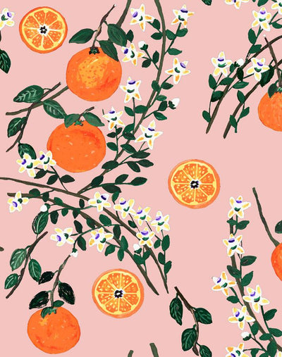 'Arance Dolci' Wallpaper by Carly Beck - Pink