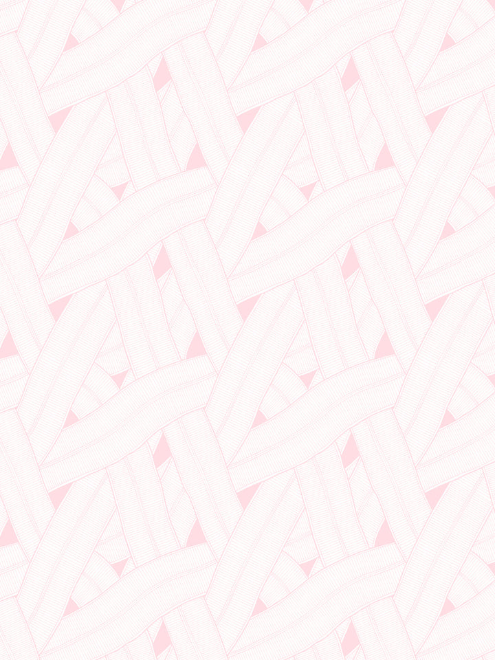 barbie-land-road-wallpaper-by-barbie-ballet-slipper