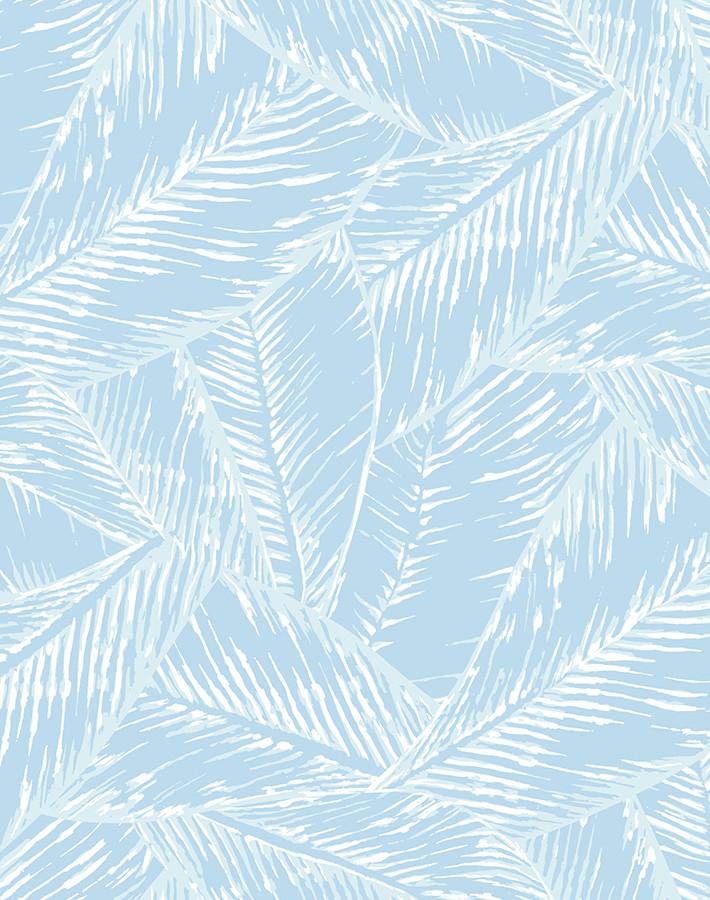 best-fronds-sky