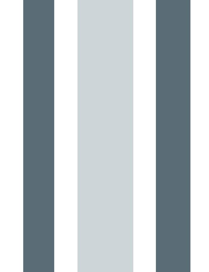 between-the-lines-dior-gray-elephant