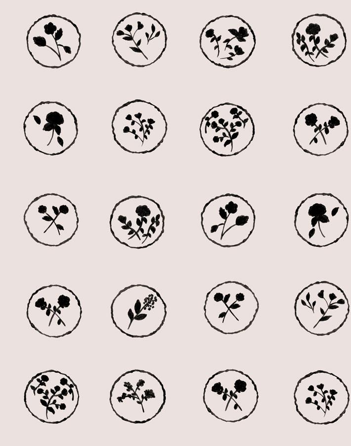bonbon-floral-oyster-black-wallpaper-by-carly-beck