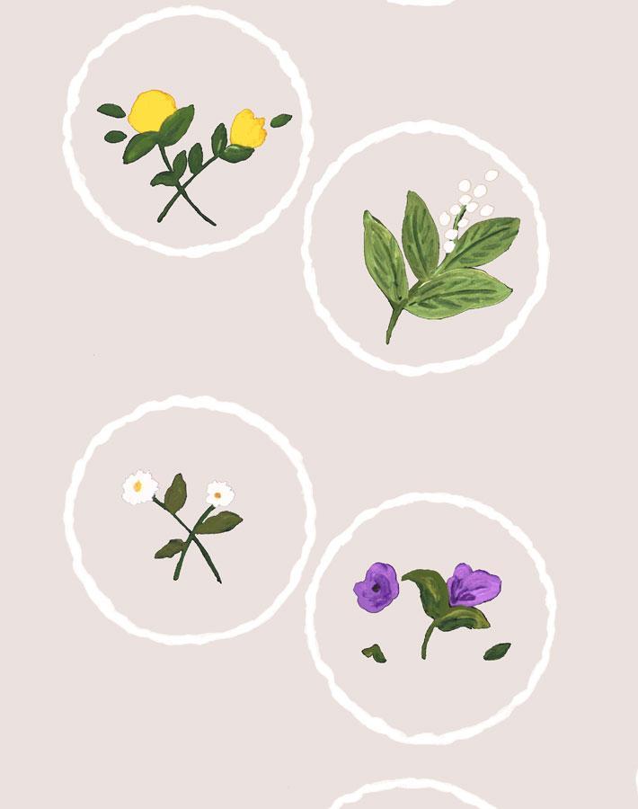 bouviers-botanical-oyster-wallpaper-by-carly-beck