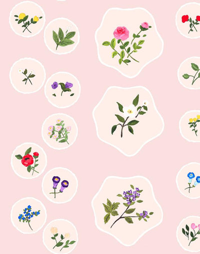 'Bouvier's Botanical' Wallpaper by Carly Beck - Pink