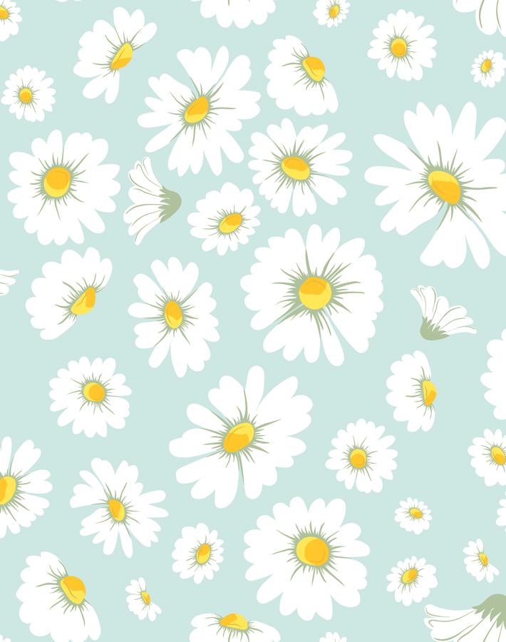 daisy-bloom-seafoam