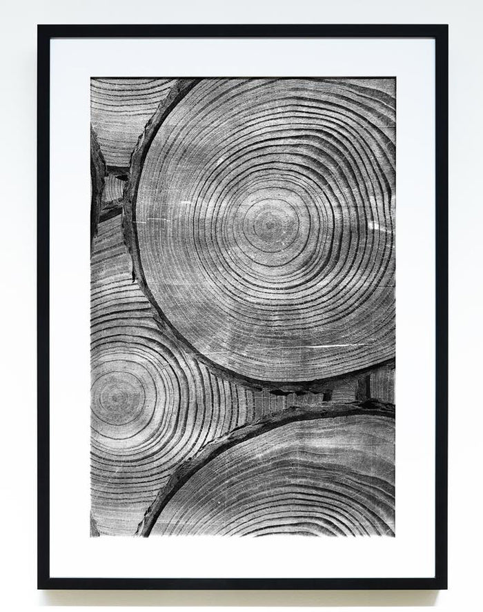 'Onyx 'Faux Bois Glam' Framed Art by Nathan Turner
