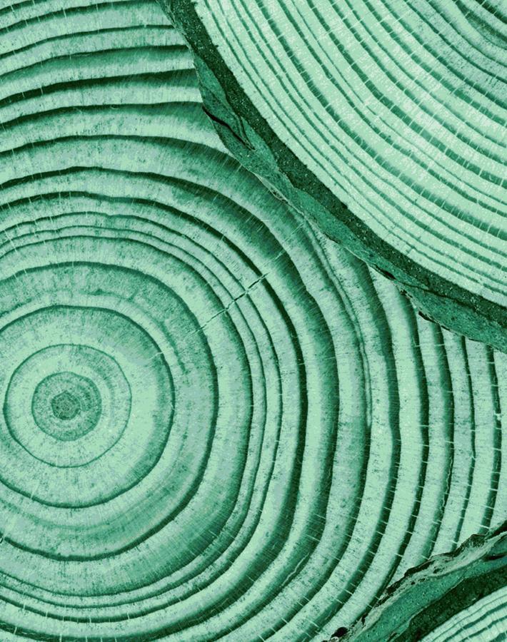 faux-bois-hunter-green