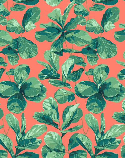 'Fiddle Fig' Wallpaper by Nathan Turner - Watermelon