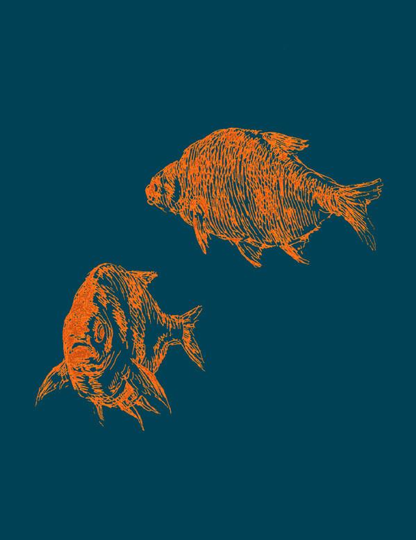 goldfish-indigo