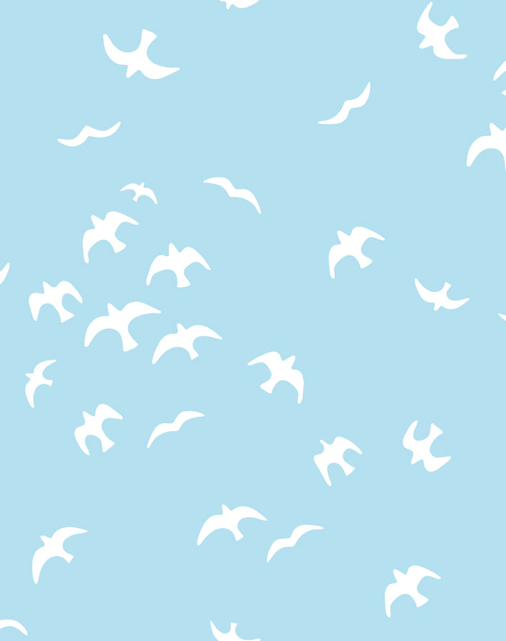 gulls-baby-blue