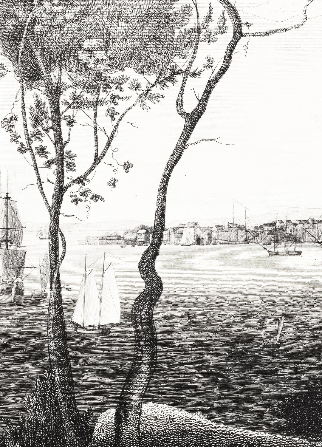 hudson bay etching removable mural