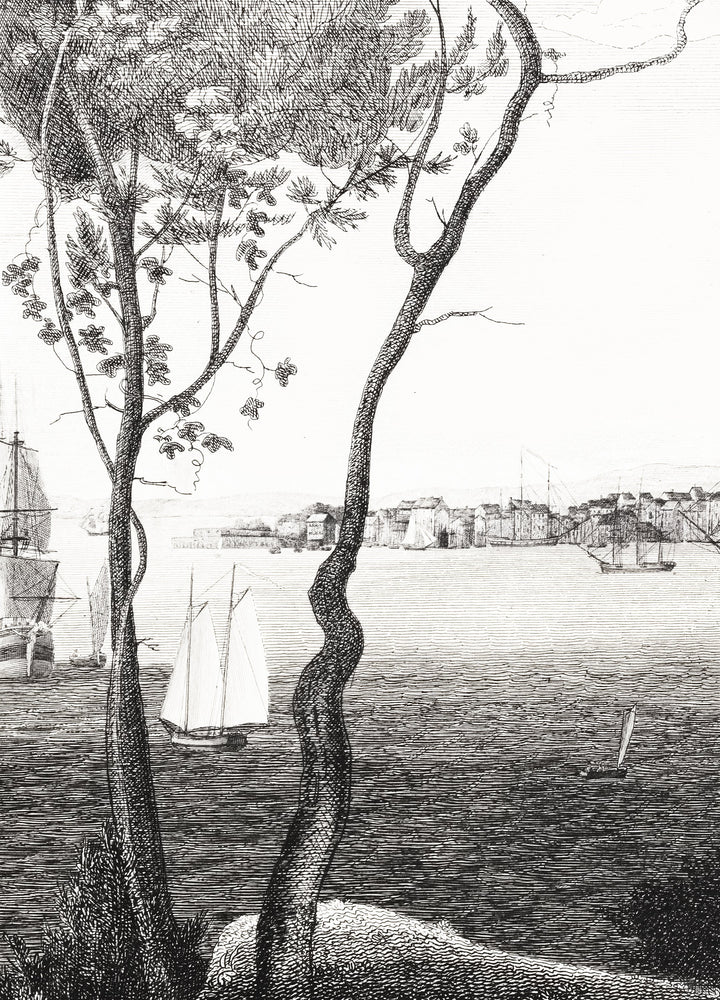 hudson bay etching removable mural