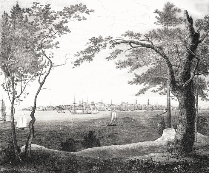 Hudson Bay' Etching Removable Mural