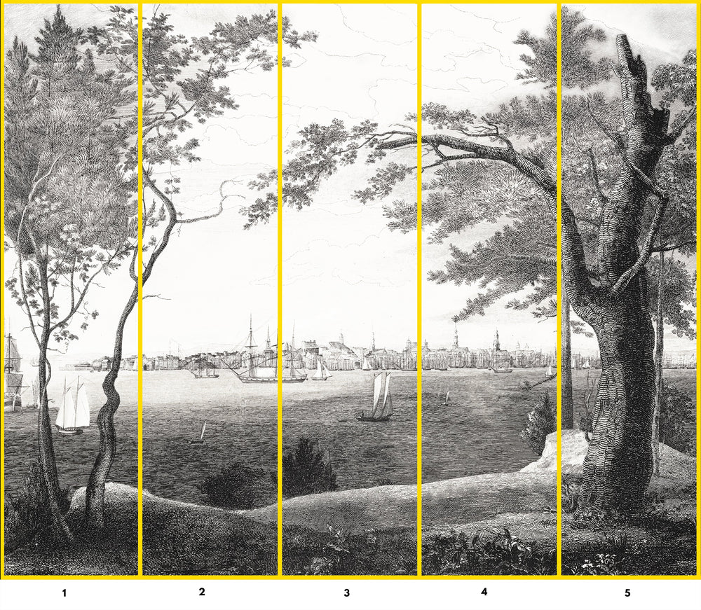 hudson bay etching removable mural