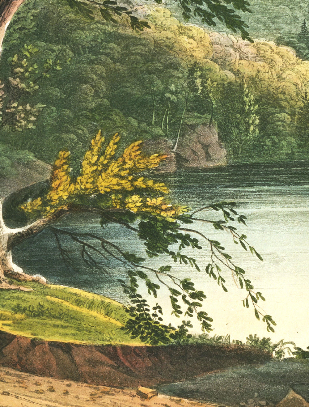 jessup landing removable mural
