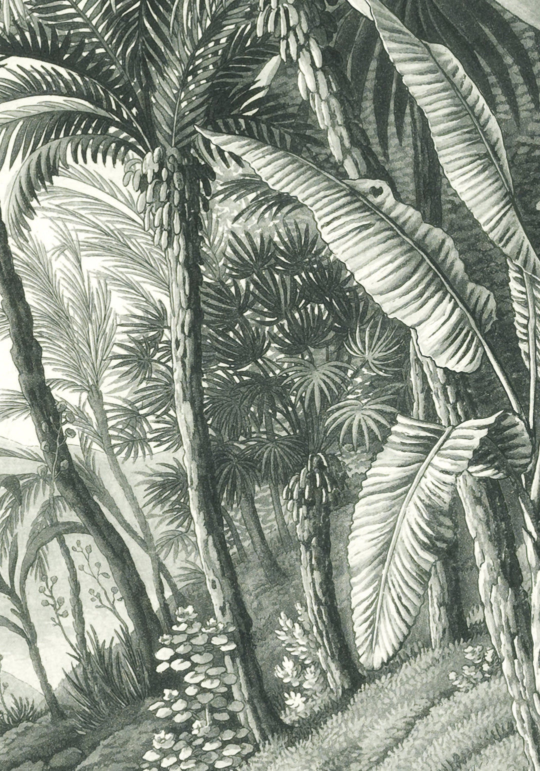 jungle removable mural