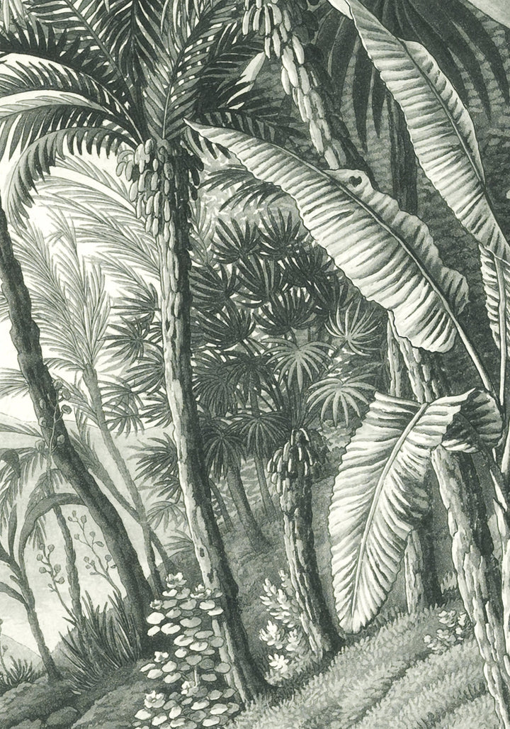 jungle removable mural