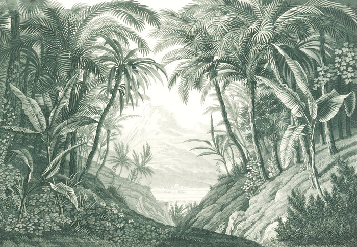 Jungle' Removable Mural