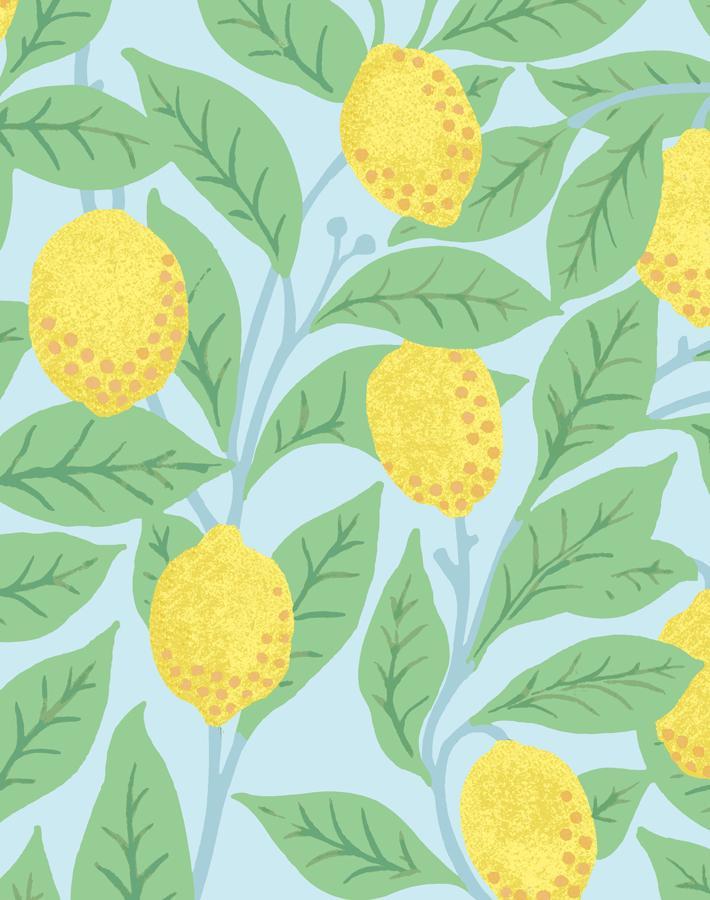 lemons-sky