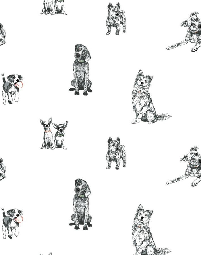 Papier peint « Mutts » par Nathan Turner - Blanc
