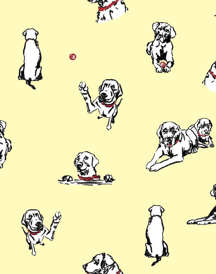Papier peint 'Nacho Toile' par Nathan Turner - Jaune
