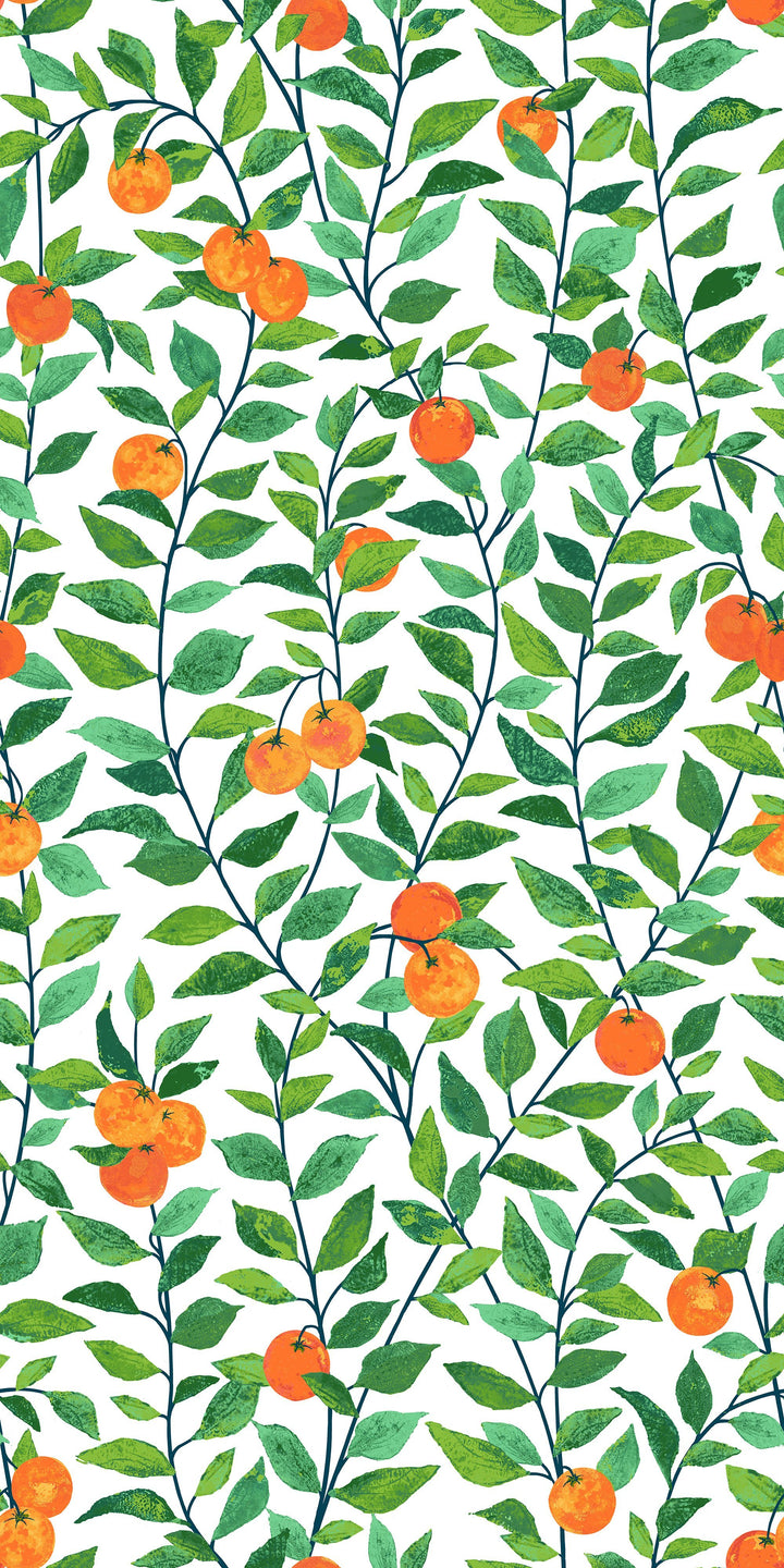 orange-crush-white