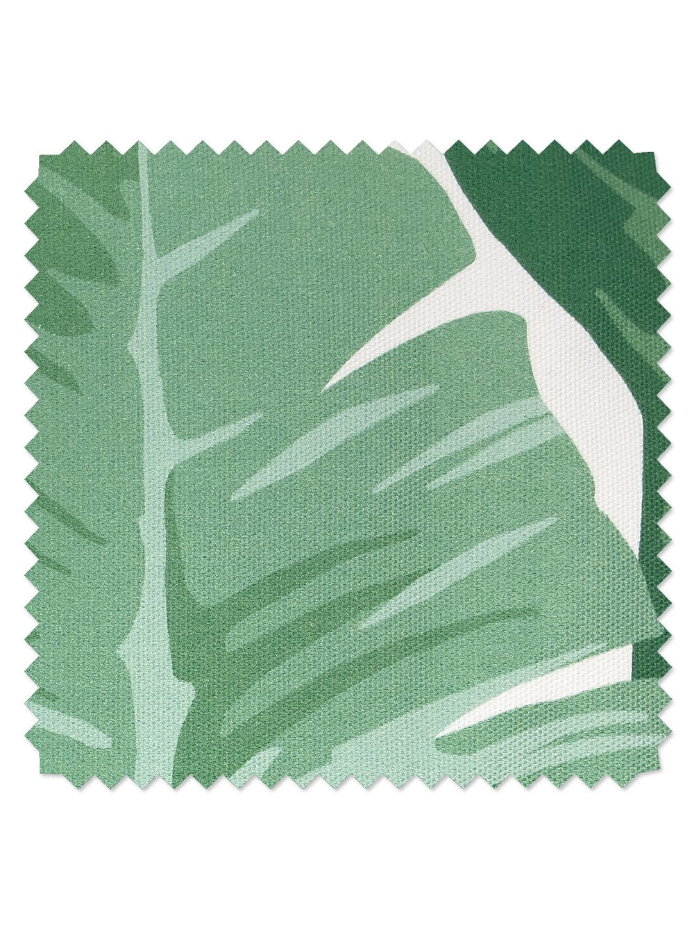 fabric by the yard pacifico palm natural on raw canvas