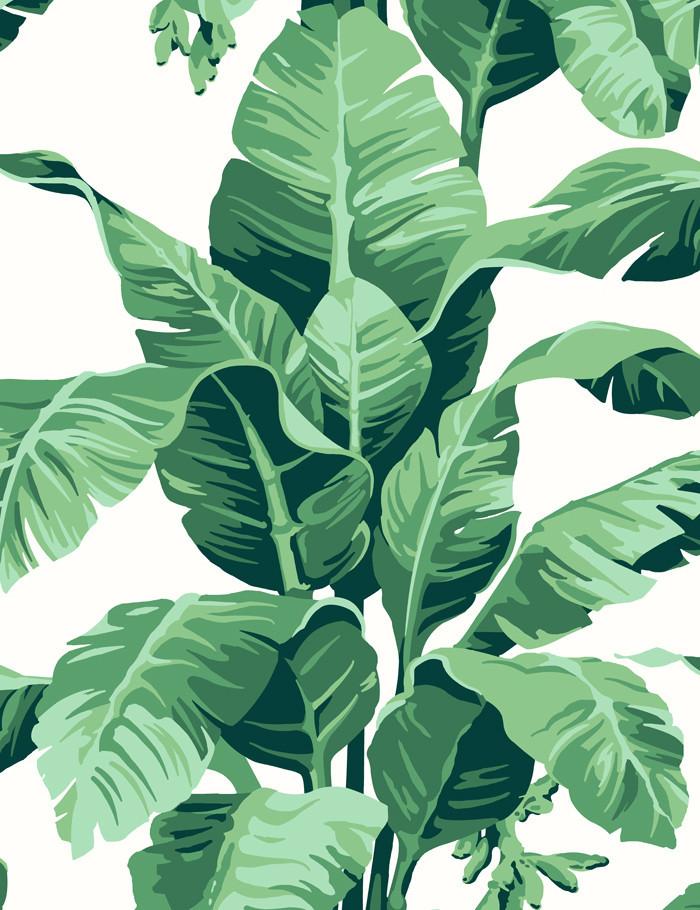 green and ivory wallpaper