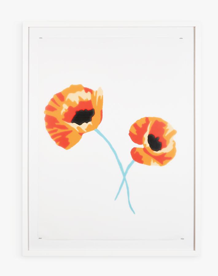 Artshoppe Poppy Flowers by Nathan Turner