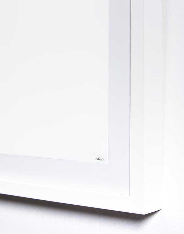 Artshoppe Poppy Flowers by Nathan Turner